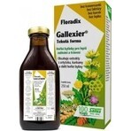 SALUS Floradix Gallexier 1×250 ml, forme liquide