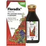 SALUS Floradix Gallexier 1×250 ml, forme liquide