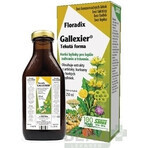 SALUS Floradix Gallexier 1×250 ml, forme liquide