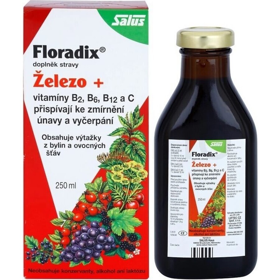 SALUS Floradix Gallexier 1×250 ml, forme liquide