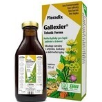 SALUS Floradix Gallexier 1×250 ml, forme liquide