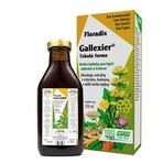 SALUS Floradix Gallexier 1×250 ml, forme liquide