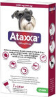 Ataxxa 1250 mg/250 mg (perros de 10 kg a 25 kg) 1&#215;2,5 ml, soluci&#243;n para perros