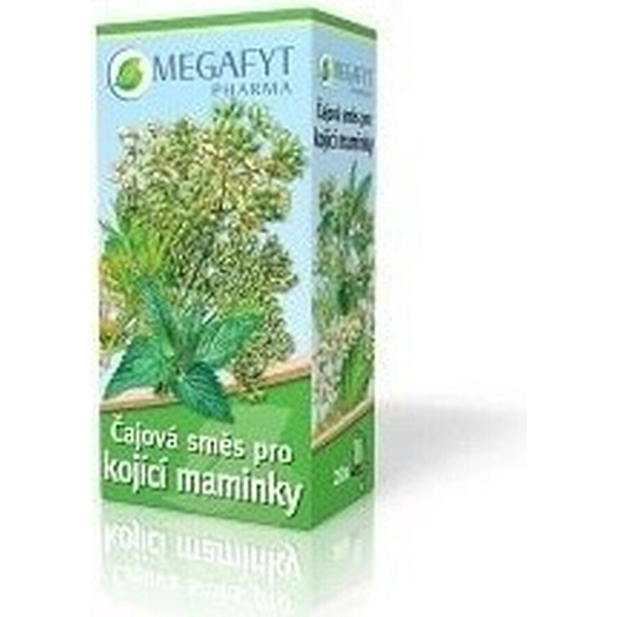 MEGAFYT Herbal tea for breastfeeding. 1×30 g (20×1.5 g), hawthorn tea