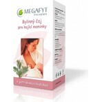 MEGAFYT Herbal tea for breastfeeding. 1×30 g (20×1.5 g), hawthorn tea