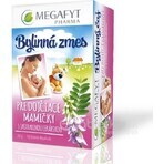 MEGAFYT Herbal tea for breastfeeding. 1×30 g (20×1.5 g), hawthorn tea