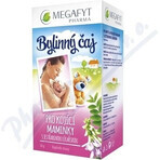 MEGAFYT Herbal tea for breastfeeding. 1×30 g (20×1.5 g), hawthorn tea