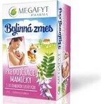 MEGAFYT Herbal tea for breastfeeding. 1×30 g (20×1.5 g), hawthorn tea