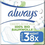 Always Cotton 8st 8st Nacht 1×8 st, kussentjes