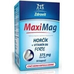 ZDROVIT MAXI MAG HORCIK+B6 FORTE 1×50 cps, supliment alimentar