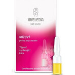 WELEDA ROSE huile pour le visage en flacons 7×0,8 ml, huile pour le visage en flacons