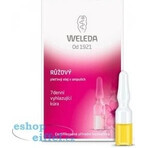 WELEDA ROSE huile pour le visage en flacons 7×0,8 ml, huile pour le visage en flacons