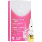 WELEDA ROSE huile pour le visage en flacons 7×0,8 ml, huile pour le visage en flacons