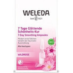 WELEDA ROSE huile pour le visage en flacons 7×0,8 ml, huile pour le visage en flacons