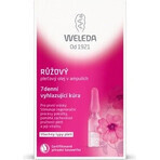 WELEDA ROSE huile pour le visage en flacons 7×0,8 ml, huile pour le visage en flacons