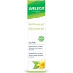 WELEDA Net Brennnessel-Gel 1×25 g