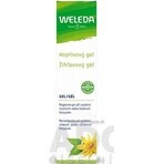 WELEDA Net Brennnessel-Gel 1×25 g