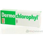 Dr. Müller DERMO CHLOROPHYL GEL 1×50 ml, gel pour la peau