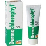 Dr. Müller DERMO CHLOROPHYL GEL 1×50 ml, gel pour la peau