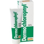 Dr. Müller DERMO CHLOROPHYL GEL 1×50 ml, gel pour la peau