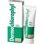 Dr. Müller DERMO CHLOROPHYL GEL 1×50 ml, gel pour la peau