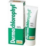 Dr. Müller DERMO CHLOROPHYL GEL 1×50 ml, gel pour la peau