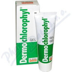 Dr. Müller DERMO CHLOROPHYL GEL 1×50 ml, gel pour la peau