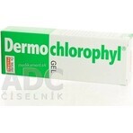 Dr. Müller DERMO CHLOROPHYL GEL 1×50 ml, gel pour la peau