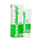 Dr. Müller DERMO CHLOROPHYL GEL 1×50 ml, gel pour la peau