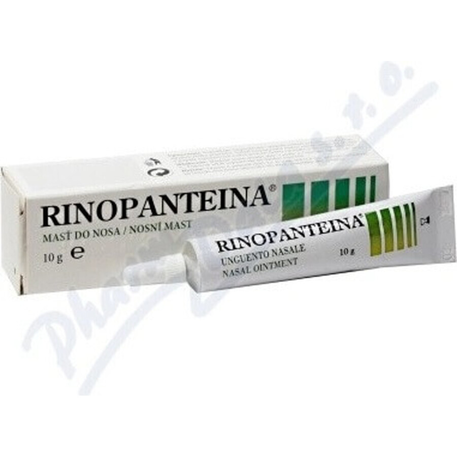 RINOPANTEIN Pomada nasal 1×10 g, pomada