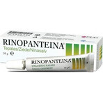 RINOPANTEIN Pomada nasal 1×10 g, pomada