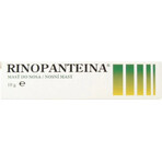 RINOPANTEIN Pomada nasal 1×10 g, pomada