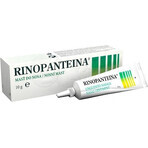 RINOPANTEIN Pomada nasal 1×10 g, pomada