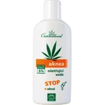 Cannaderm AKNEA agua de tratamiento 1×200 ml, agua de tratamiento del acné