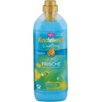 Kuschelweich conditionneur de tissu - Emotions bleu, 38 lavages 1×1 l, conditionneur de tissu