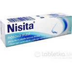 Nisita pomada nasal 1×10 g, pomada nasal