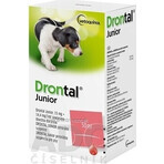 Drontal Junior 1×50 ml, oral suspension for dogs