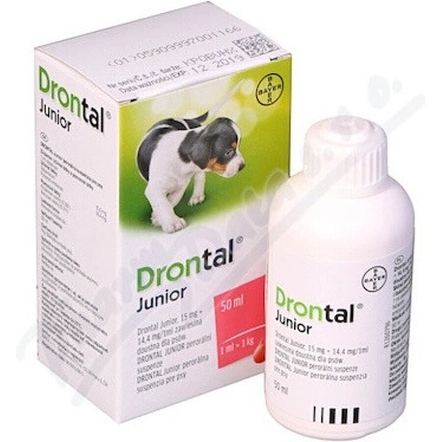 Drontal Junior 1×50 ml, oral suspension for dogs