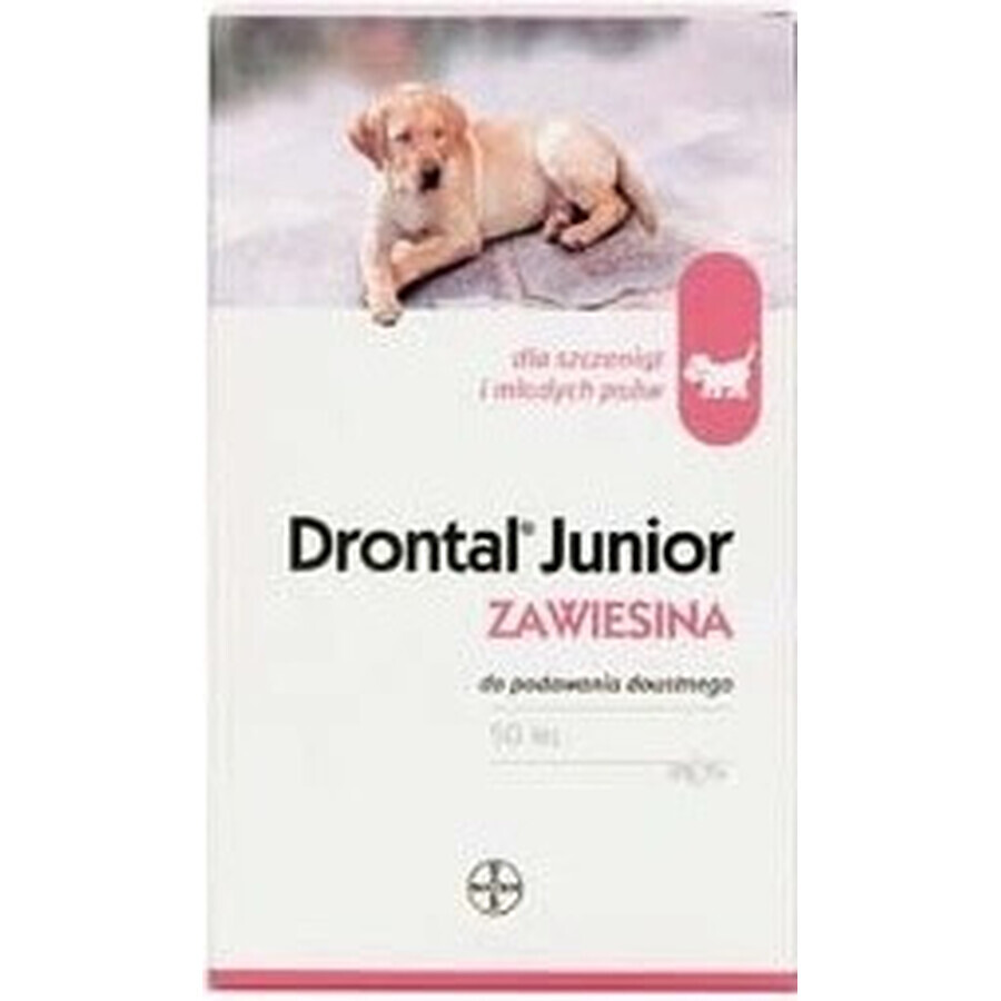 Drontal Junior 1×50 ml, oral suspension for dogs