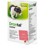 Drontal Junior 1×50 ml, oral suspension for dogs