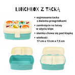 Rex London Set, Frühstücks-Lunchbox + Dose, wilde Tiere