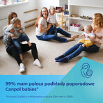 Canpol Babies, compresas postparto transpirables y muy absorbentes, 10 unidades + 2 unidades gratuitas