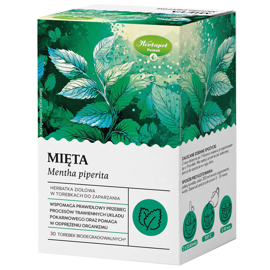 Herbapol Menta, tisana, 30 bolsitas biodegradables