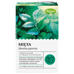 Herbapol Menta, tisana, 30 bolsitas biodegradables