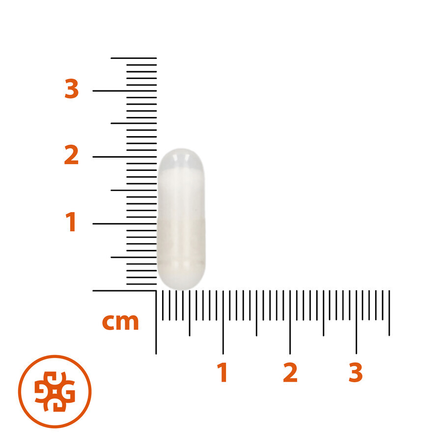 SEMA Lab Potassium, 60 hard capsules