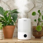 Levoit Dual 200s, humidificador de aire, 1 ud.