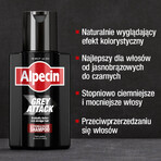 Alpecin Grey Attack Caffeine & Colour, șampon colorant, 200 ml