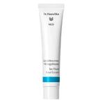 Dr Hauschka Crema viso alle spezie Med 40 ml