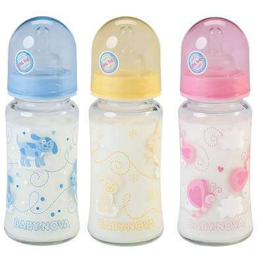 Flasche mit weitem Glashals, 240 ml, Baby Nova