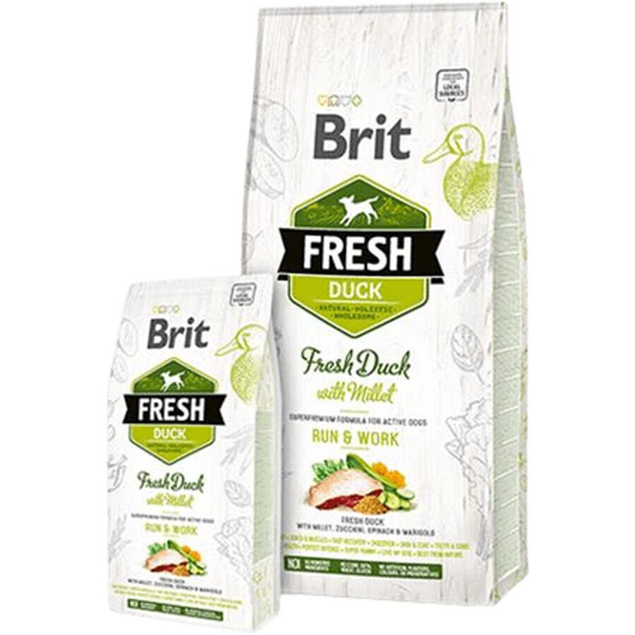 Brit Fresh Ente mit Hirse Active Run & Work 12kg